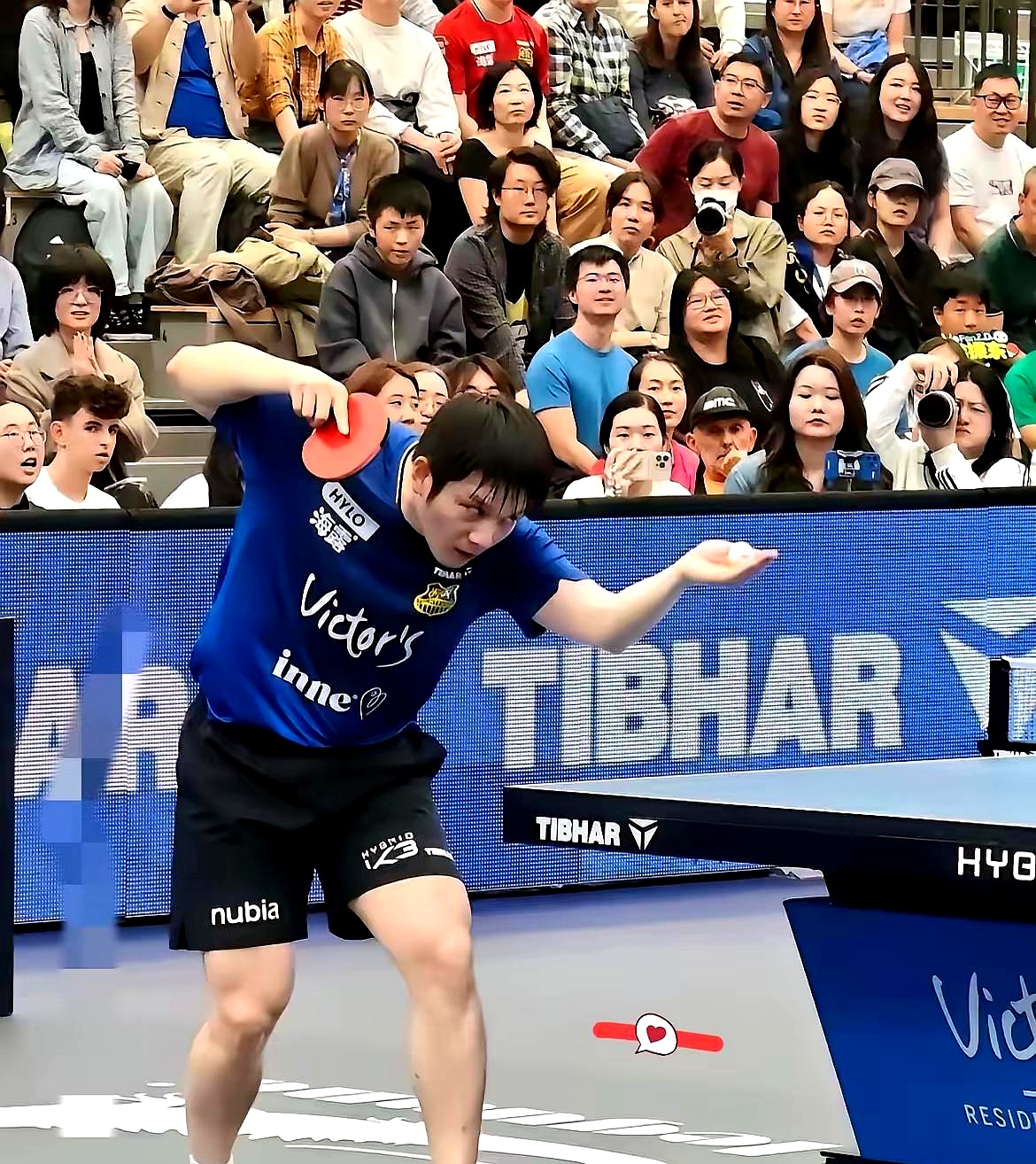 PG游戏APP-英格兰队轻取波兰队，樊振东带队取胜