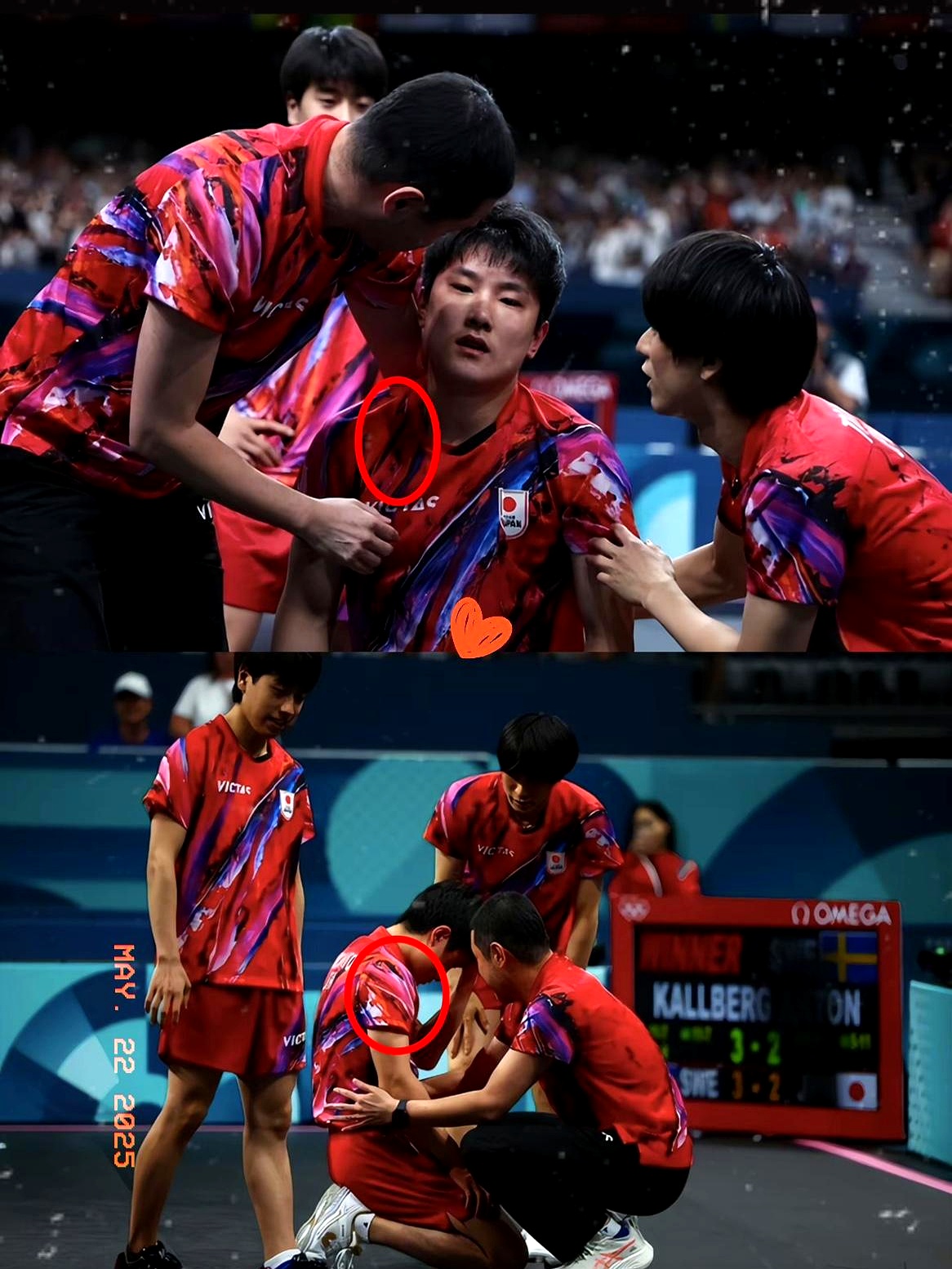 关于法国乒乓球队鏖战瑞典乒乓球队，张本智和绝境逆转的信息