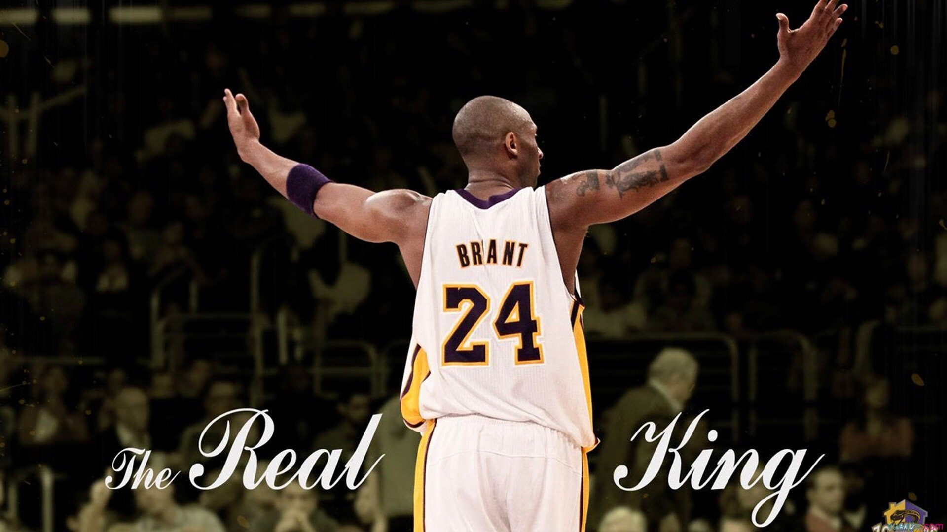 掘金高原筑长城，约基奇完美定义何为现代篮球终极答案