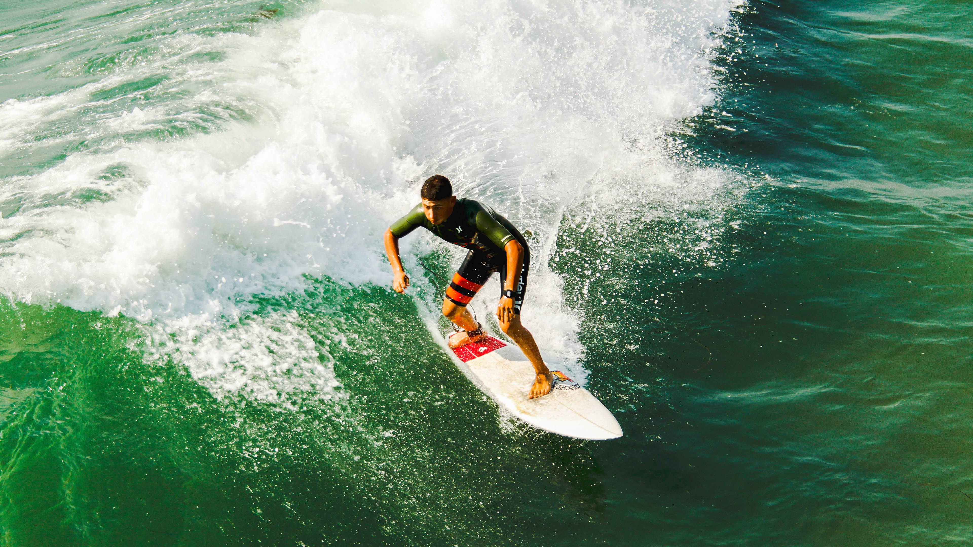 PG中国登录入口-蛰伏与重生，当黄蜂的刺，刺穿公牛的心脏